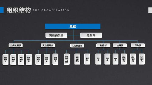 引行金融 小微企業(yè)有尊嚴(yán)的金融服務(wù)——數(shù)字內(nèi)容制作服務(wù)品牌宣傳冊(cè)策劃與設(shè)計(jì)